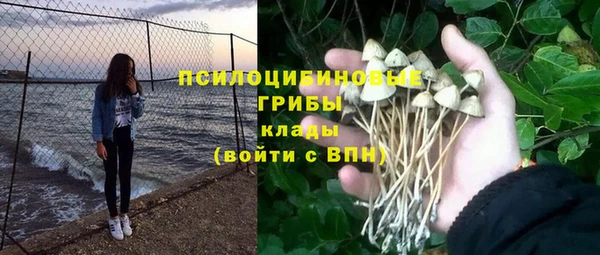 дживик Алзамай