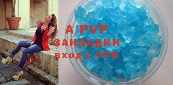 крисы Алексин
