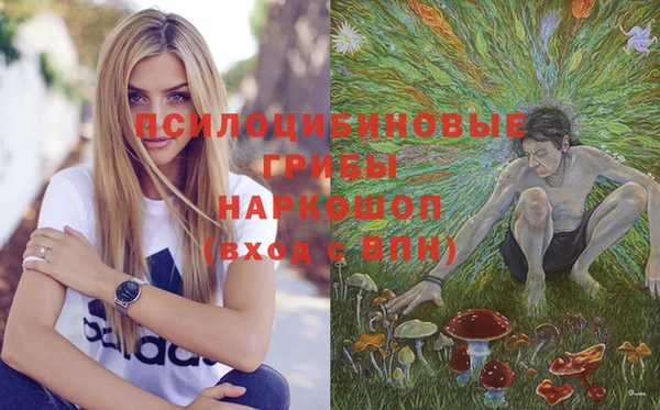 дживик Алзамай