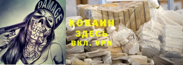 крисы Алексин