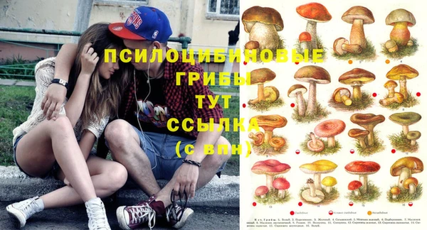 дживик Алзамай
