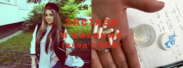 крисы Алексин