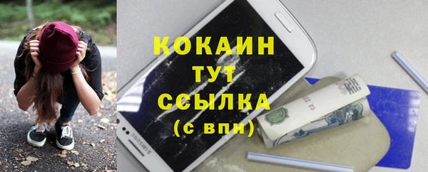 крисы Алексин