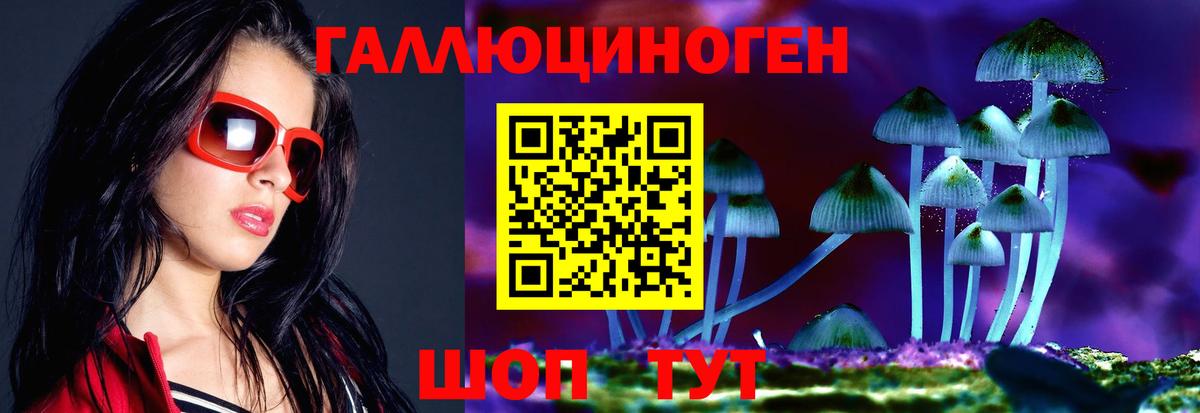 Псилоцибиновые грибы Psilocybe  Вход с VPN  цены наркотик  Нововоронеж 
